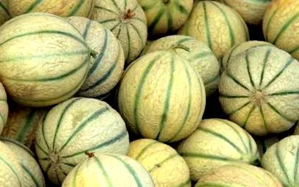 scăzut