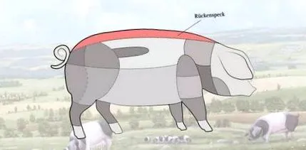 бекон besh