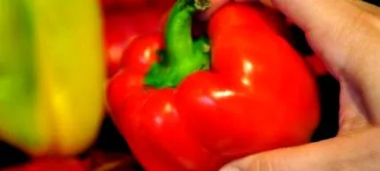 colorează