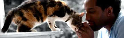 purina