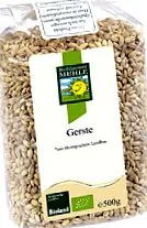 hordeum