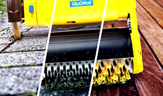 gloria