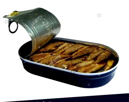 закуска стоковая