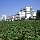 1001 Фрухт шеќер