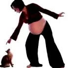 atenție animale