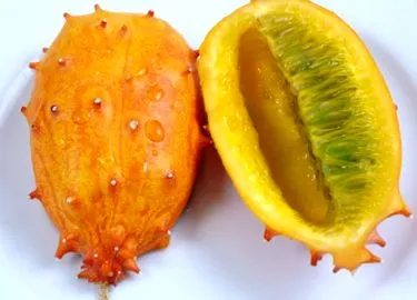 allergia
