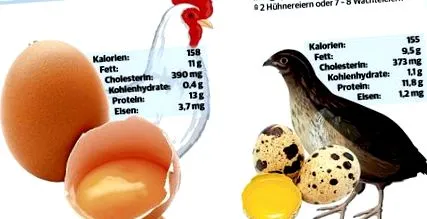 jobb csirketojás