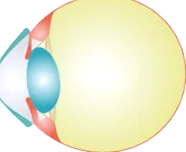 clínica