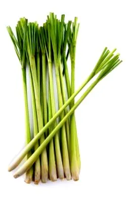 teasana