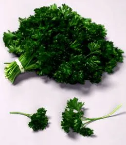petrezselyem