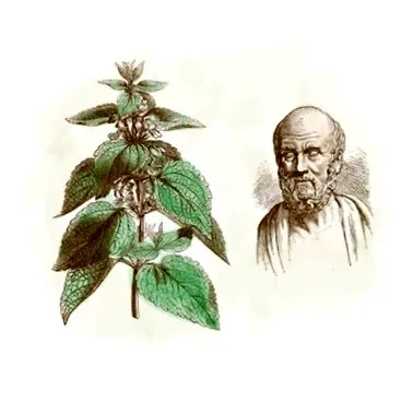 eredete