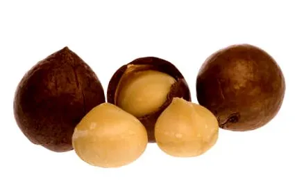 makadámiadió