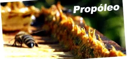 propolisz