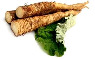 burdock