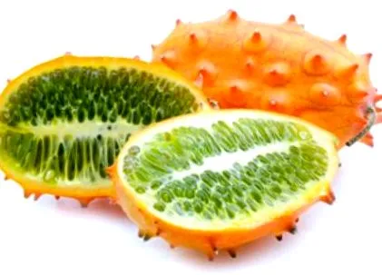 tippek Kiwanos számára