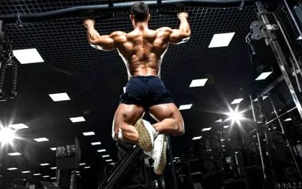 musculare