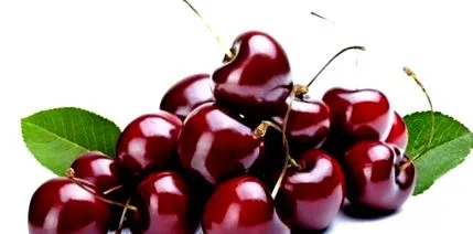 cseresznye nyári