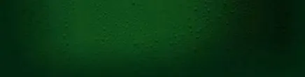 jever