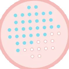 regenerare