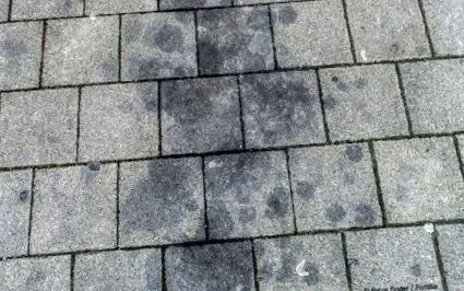 petele petele