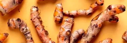 Curkuma longa