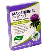 thistle