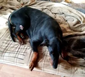boldogságban