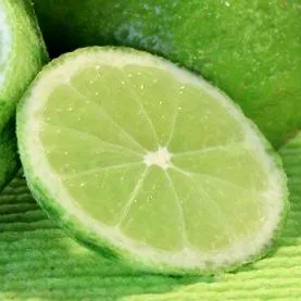 nutritive