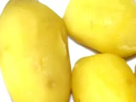 burgonya
