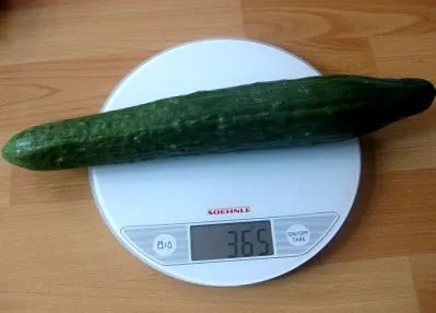 készítsen