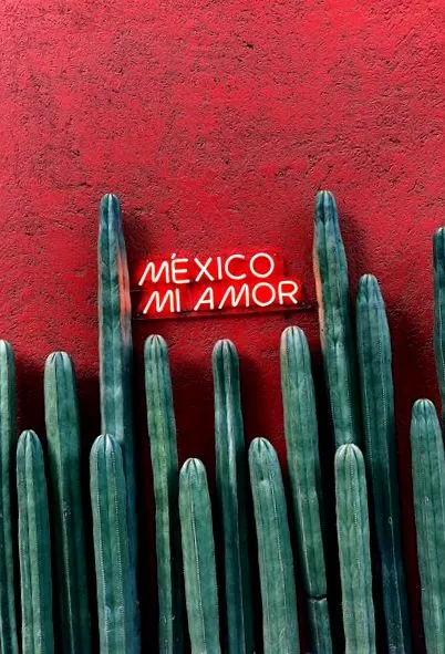 amor