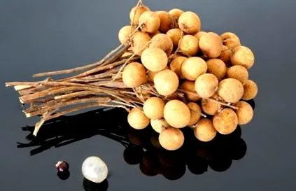 longan