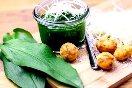 macadamia