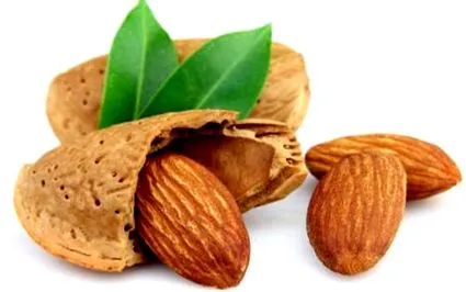 calorii