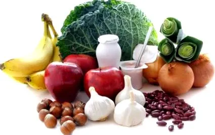dieta