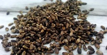 lapte versatil