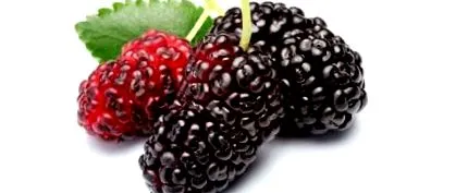 fruit