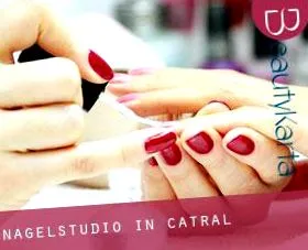catral alicante