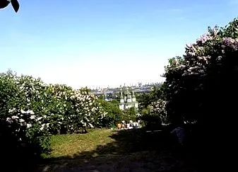kert kijevi