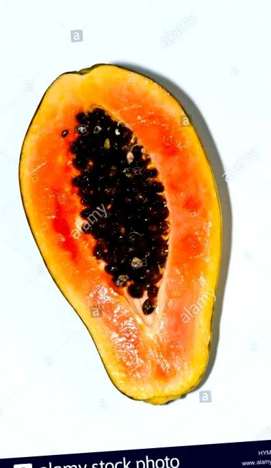 licenc alapján