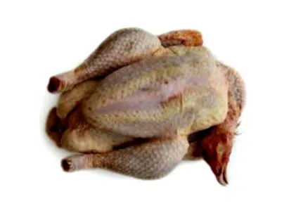 egész évben