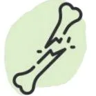 datorat