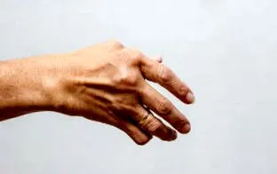 posibil