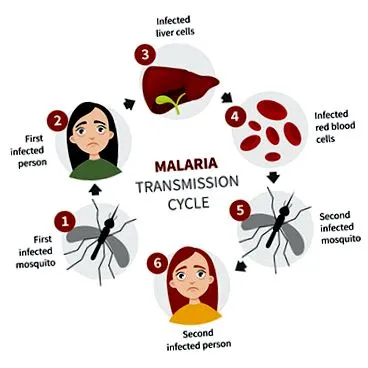 transmitere