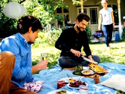 idei picnic
