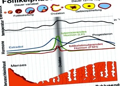 heilpraxis
