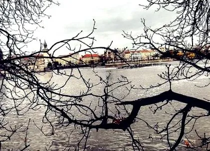чешката