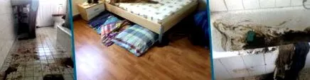местото злосторството
