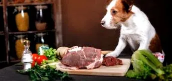 porc