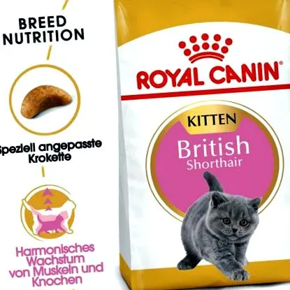 british